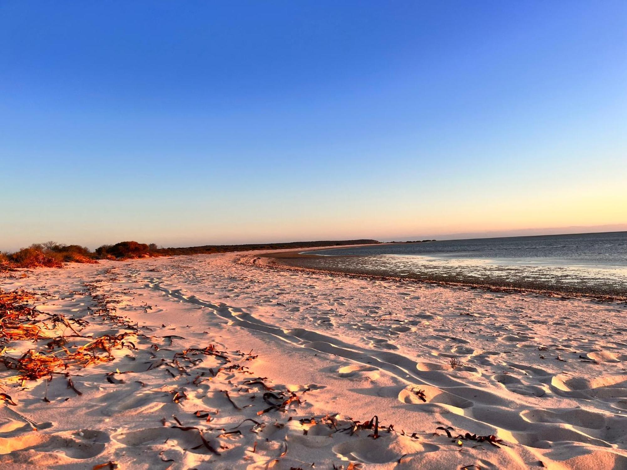 Heritage Resort Shark Bay Denham Buitenkant foto