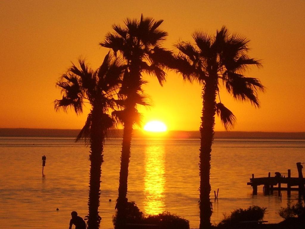 Heritage Resort Shark Bay Denham Buitenkant foto